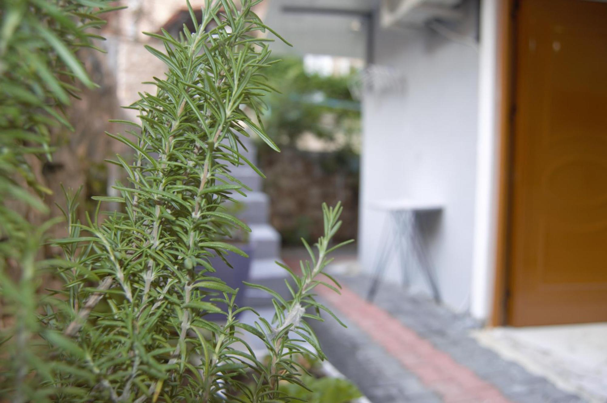 Keli Appartement *